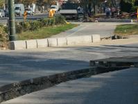 Imagine atasata: Borduri si panselute - 2019.10.21 - 02.jpg